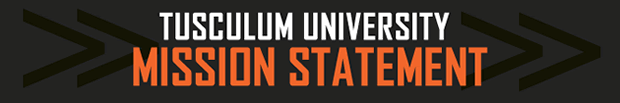 Mission Statement graphic